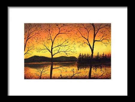 Citrus Nights - Framed Print Online Hot Sale