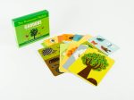 Montessori Method Bundle Online