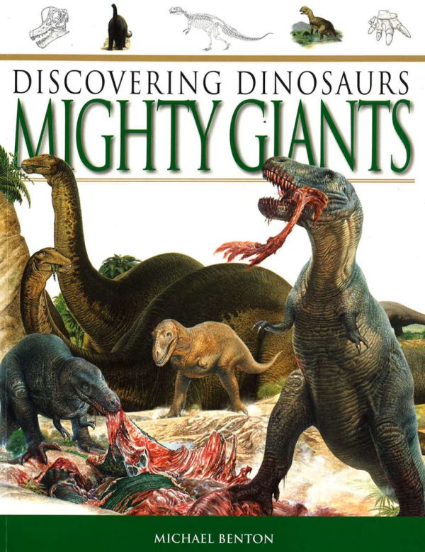 Discovering Dinosaurs (4 Books Set) Flying Monster, Mighty Giants, Small & Scary,Weird And Wonderland For Sale