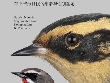 Ageing & sexing of migratory East Asian passerines For Cheap